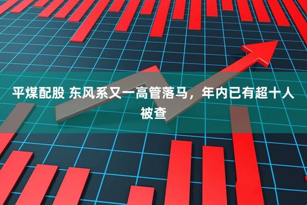 平煤配股 东风系又一高管落马，年内已有超十人被查